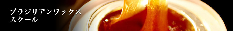 ブラジリアンワックススクール