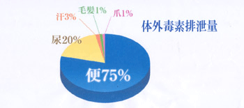 体外毒素排泄量